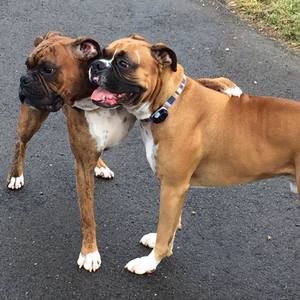 Meet your Posher, Mark